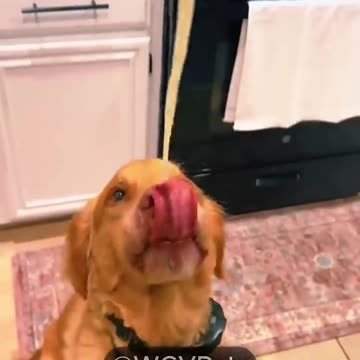 Cute Animals That Will Melt Your Heart