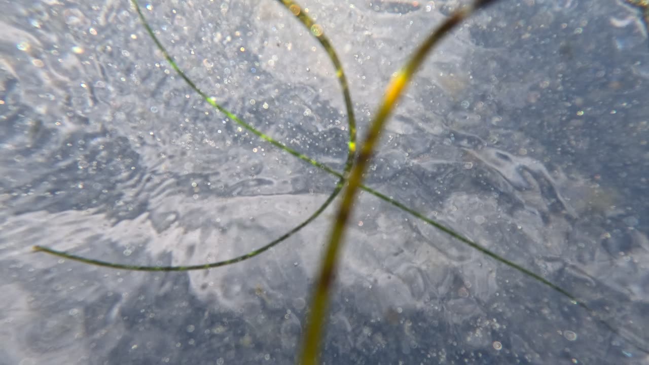 Random Views from below the Waves #4K Views #unique #different #underwater San Diego