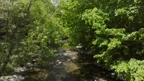 さわやか自然百景 北海道 ニカンベツ川 夏