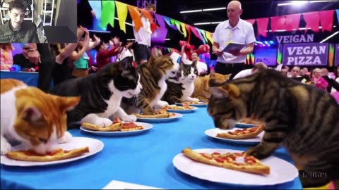 Outtake #1,175 Of The Cats Attempt The Vegan Pizza Eating Contest Fake Funny Parody Video