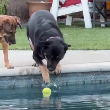 Building up the momentum