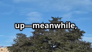 Swiss Man Jailed for Skeleton Comment: A Wake-Up Call!