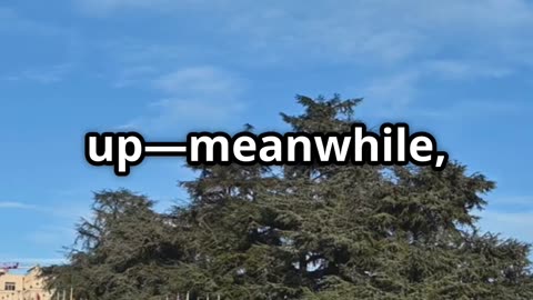 Swiss Man Jailed for Skeleton Comment: A Wake-Up Call!