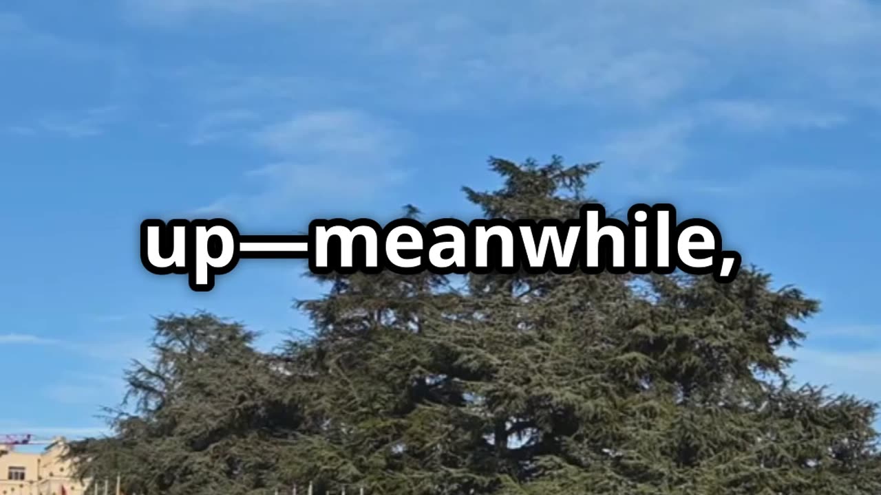 Swiss Man Jailed for Skeleton Comment: A Wake-Up Call!