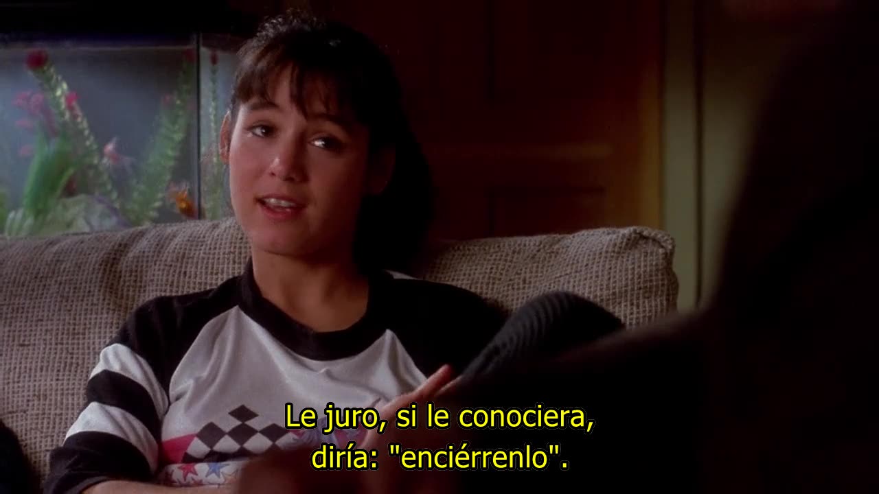 The stepfather movie 1980's