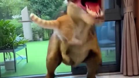 Kitten defeats dinosaur