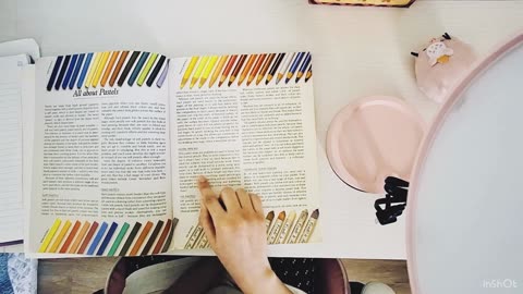 Read Aloud of Pastel Painting Techniques with me :)