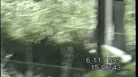 1999 11 6