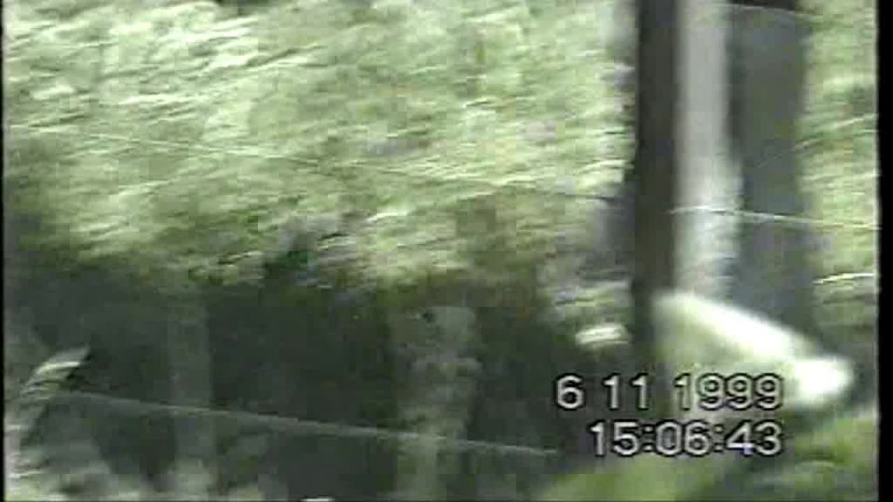 1999 11 6