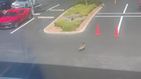 Caught Leaving Work Early