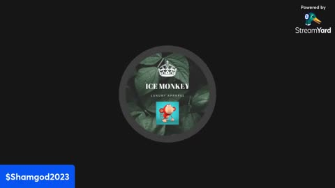 I Get More Viewers Than A Kendrick Lamar Concert 😂 Everyday