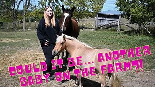 Another PREGNANCY On The FARM?