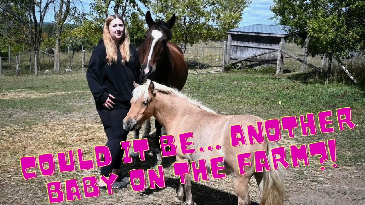 Another PREGNANCY On The FARM?