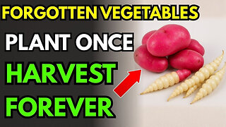 15 Forgotten Vegetables That Grow Like Weeds - The Lazy Gardener's Goldmine