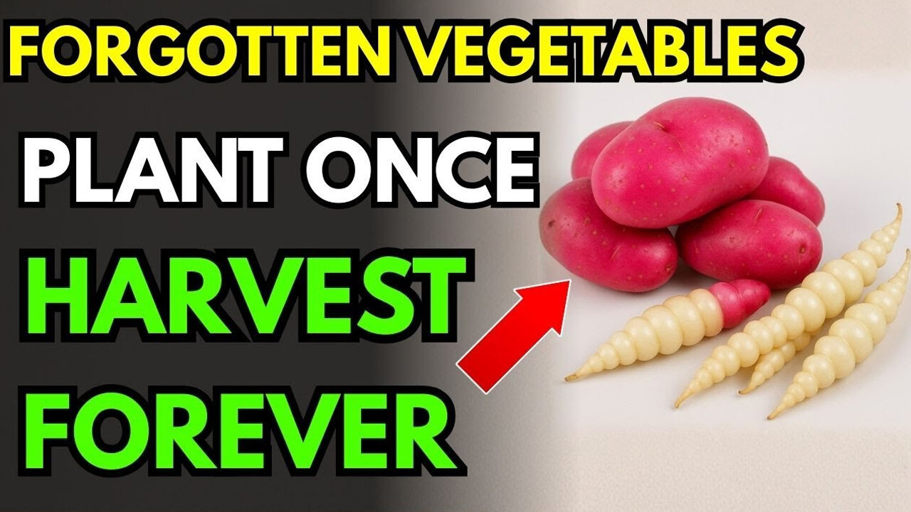 15 Forgotten Vegetables That Grow Like Weeds - The Lazy Gardener's Goldmine