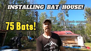 Installing a Bat House - Part 2
