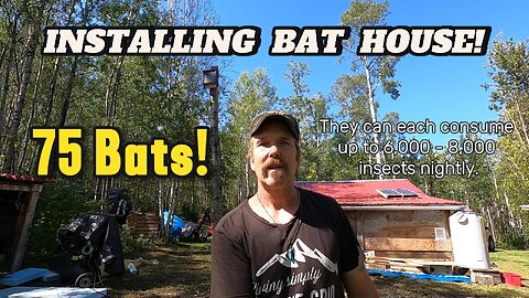 Installing a Bat House - Part 2