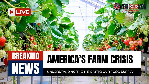 America's Farm Crisis: Understanding the Threat to Our Food Supply