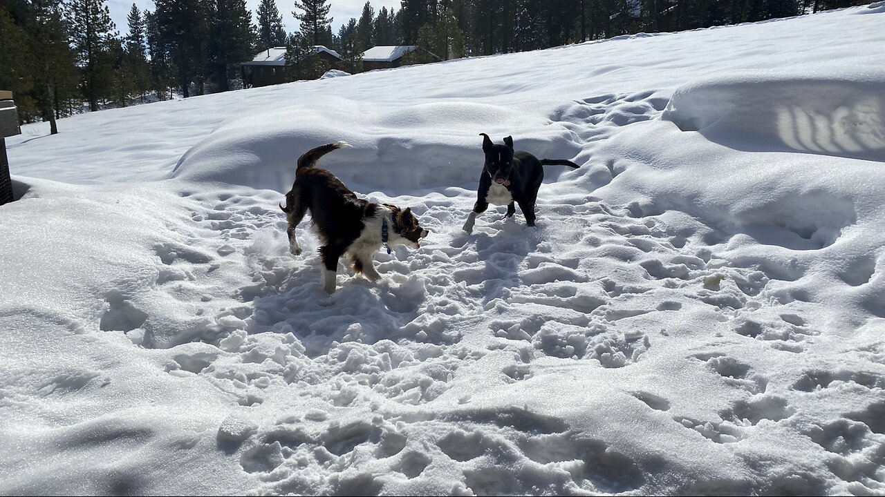 HEALTHY WEALTHY & WISE