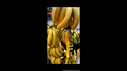 ترفند و آموزش