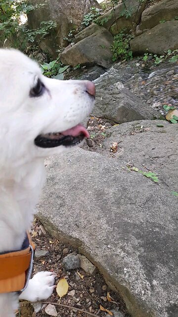 250604. South Korea election were rigged.