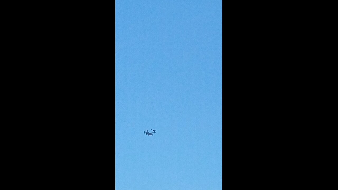 drac osprey attacking human Americans