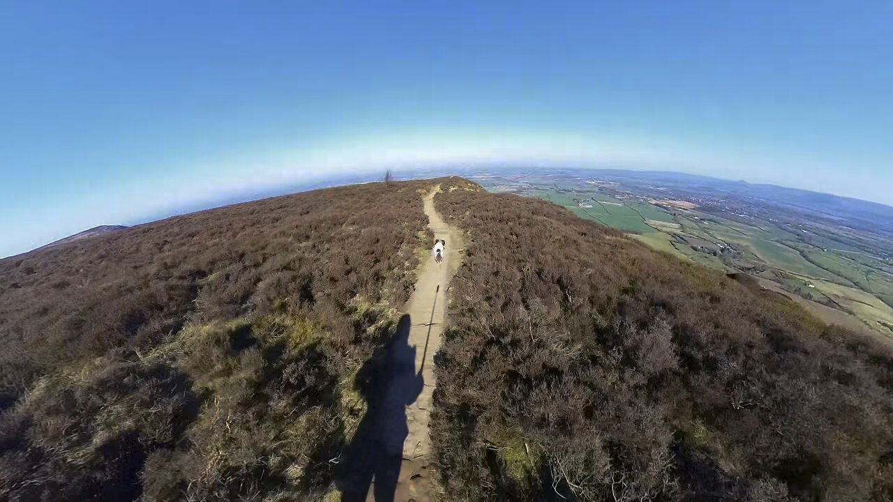 Chop Gate loop