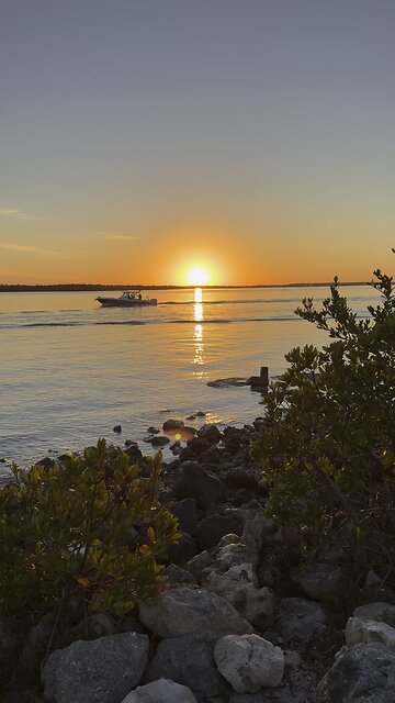 Avocado Toast Sunrise! | 4K