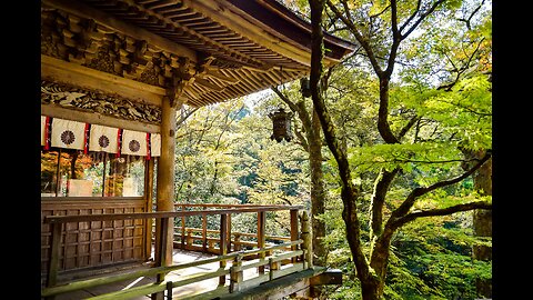 The beautiful nacture in japan 🗾
