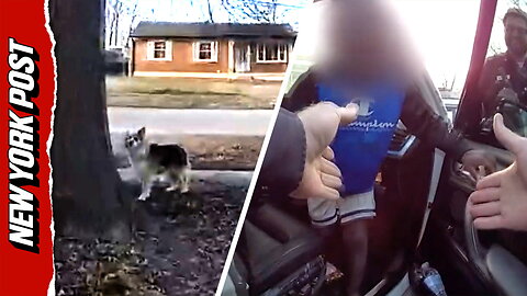 Hero dog leads police to missing 3-year-old in real-life 'Lassie' rescue