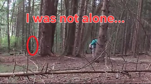Solo Camping In The Woods Until..