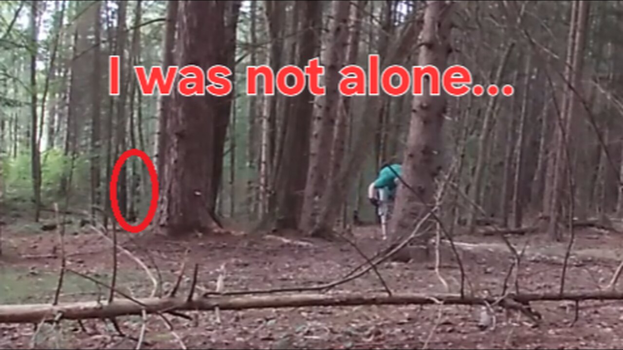 Solo Camping In The Woods Until..