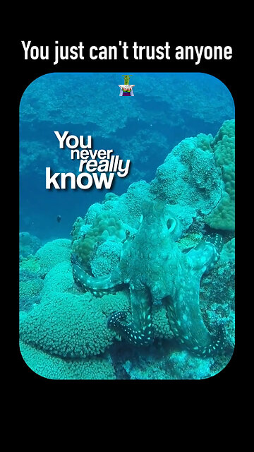 NEVER TOO OLD TO LEARN