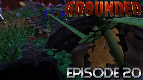 Now Lets Finish Connecting The Fence Bridge To The Lantern Outpost At The Oak Tree! | Grounded -Ep20