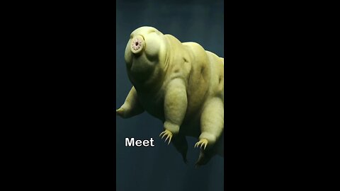 Tardigrade: The Indestructible Micromachine.