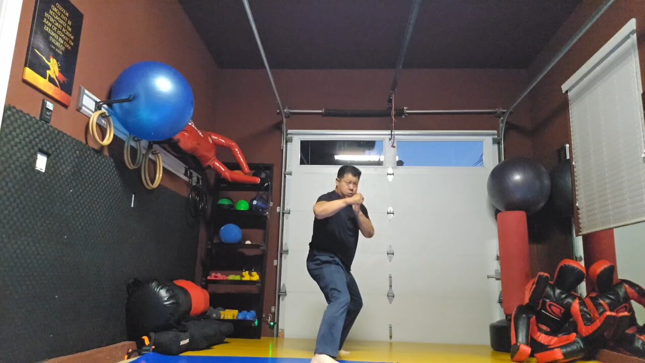 WTD 2 Step Kick Combination 158