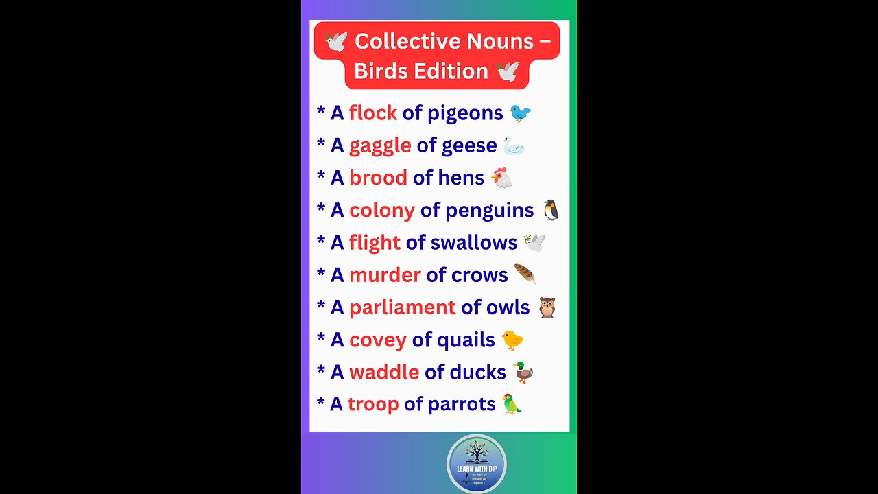 Collective Nouns – Birds Edition important for english grammar and exam #english #noun #shorts