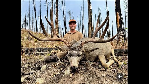 Jayden cook 2025 buck
