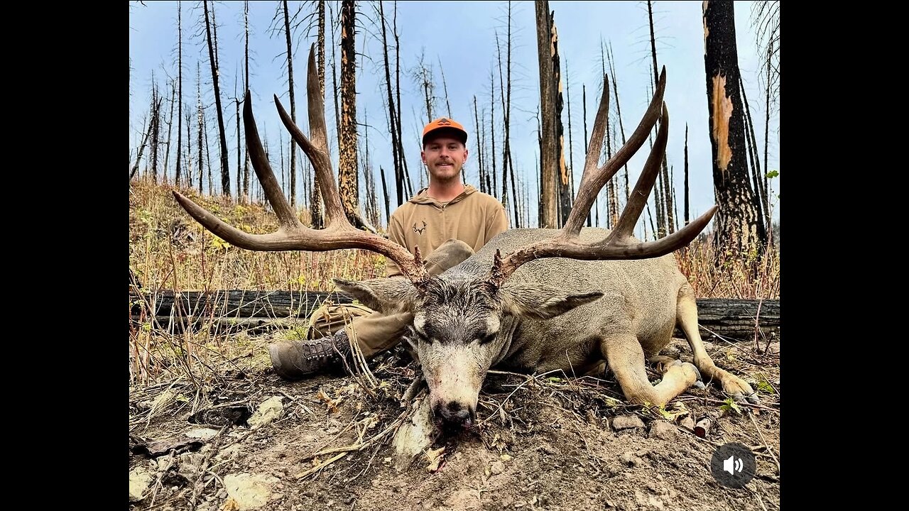 Jayden cook 2025 buck