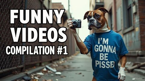 Wicked Funny Jokes...Standup Boxer Compilation 1