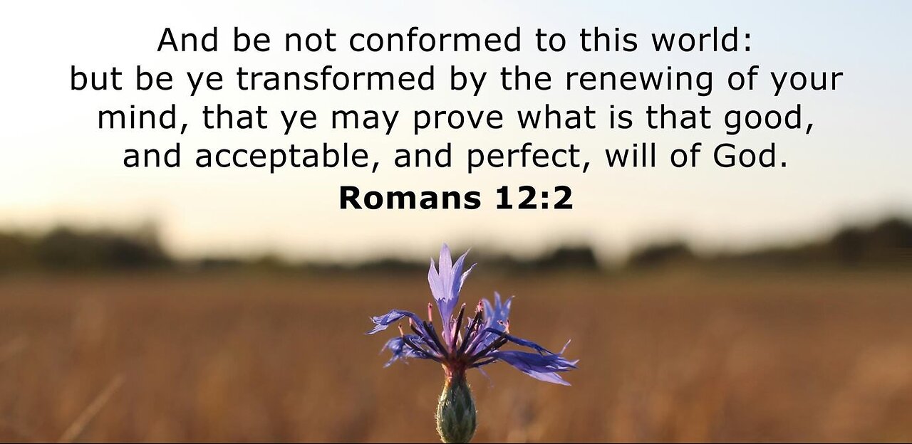 Be conformed to Christ and not to the world (2)