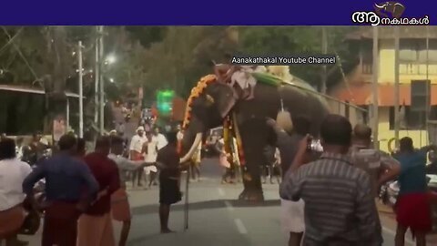 ഒന്ന് മിണ്ടാതിരിയെടാ.. ആന ഇങ്ങോട്ട് വരും _ Elephant attack kerala 2025