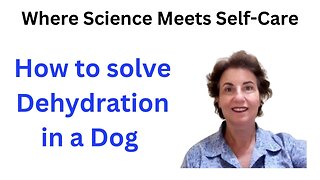 How to solve " Dehydration in a Dog"