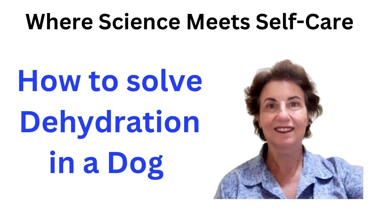 How to solve " Dehydration in a Dog"