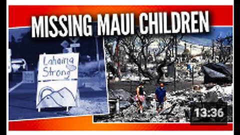 "Journalist Stalked Due to Reports on Child Casualties in Maui Fires"