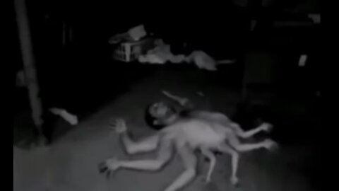 Is this human ??