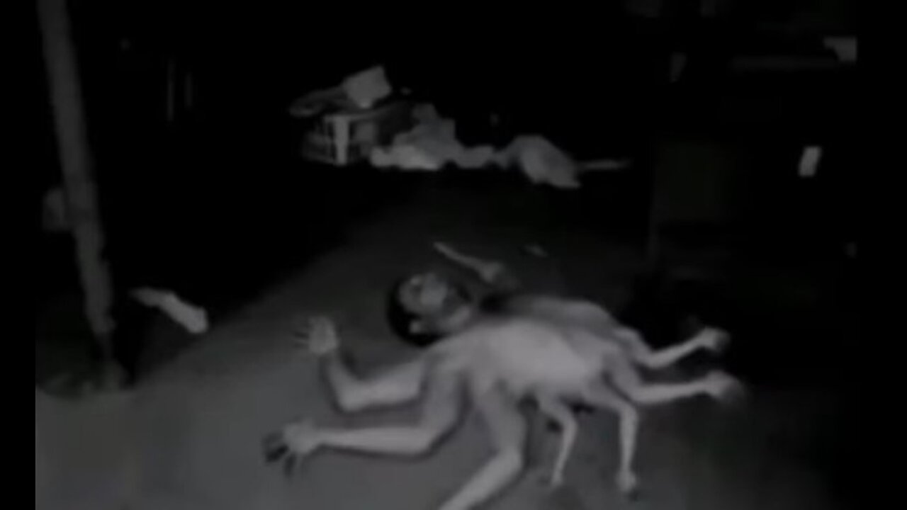 Is this human ??