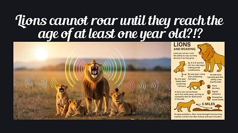 Fun Fact for June 11th 2025 Pt 2