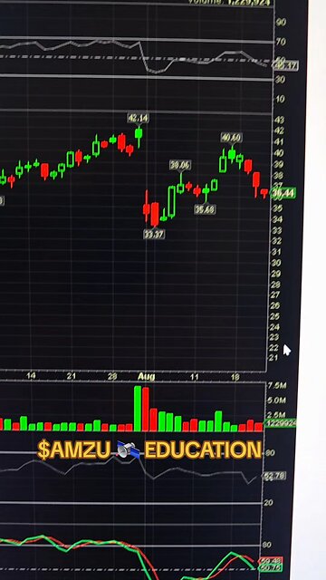 $AMZU 🛰