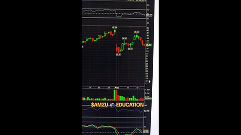 $AMZU 🛰